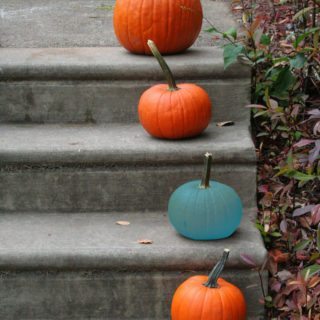 Teal pumpkins, safe, healthy and allergy-safe treats - let's get ready for an Allergy-Safe Halloween with this Halloween Allergen Guide | accidentallycrunchy.com